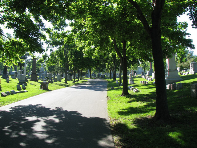 forest lawn cemetary